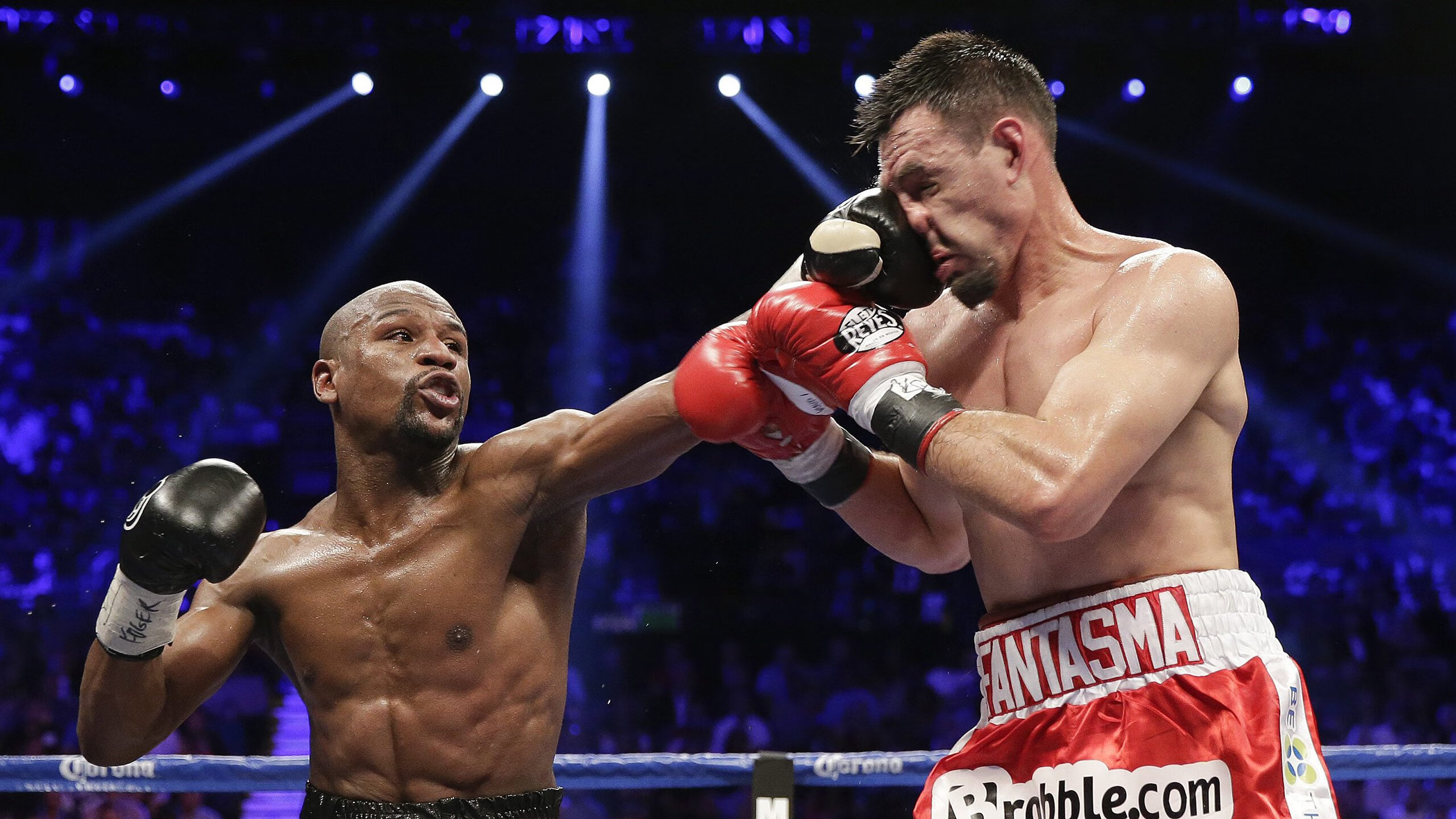 国际游联公布年度最佳泳将 中国飞鱼榜上有名